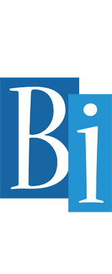 Bi winter logo