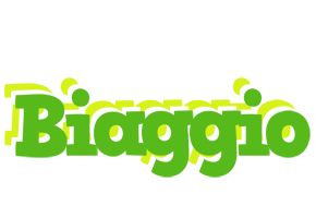 Biaggio picnic logo