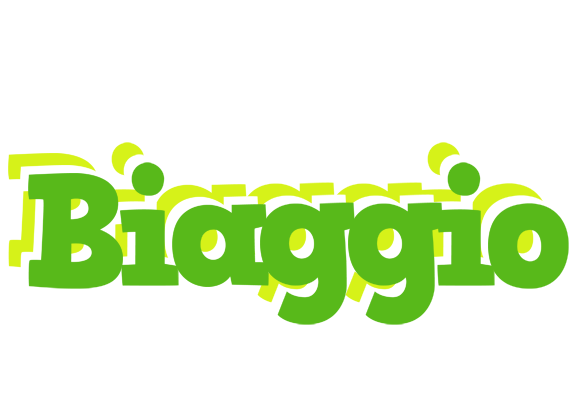 Biaggio picnic logo