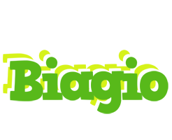 Biagio picnic logo