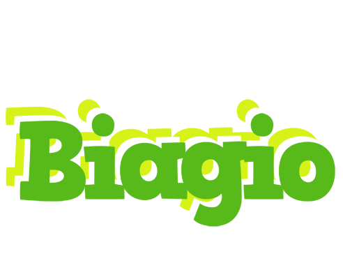 Biagio picnic logo