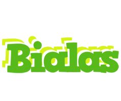 Bialas picnic logo