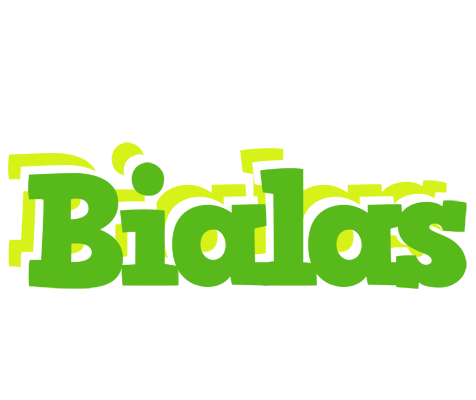 Bialas picnic logo