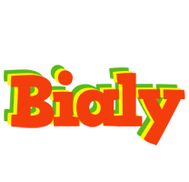 Bialy bbq logo