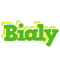 Bialy picnic logo