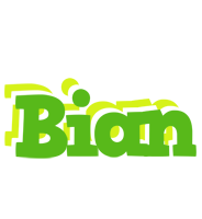 Bian picnic logo