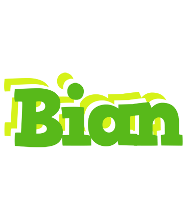 Bian picnic logo