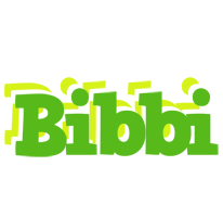 Bibbi picnic logo