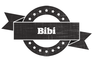 Bibi grunge logo