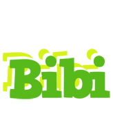 Bibi picnic logo