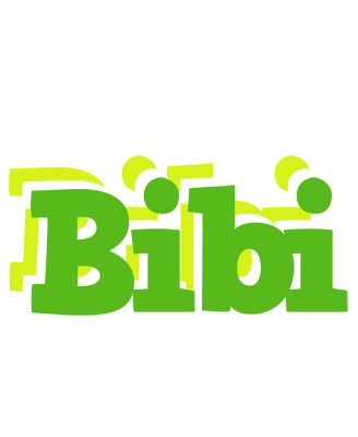 Bibi picnic logo