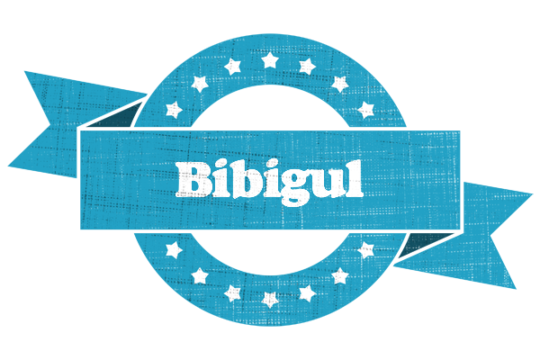 Bibigul balance logo