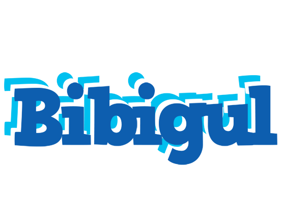 Bibigul business logo