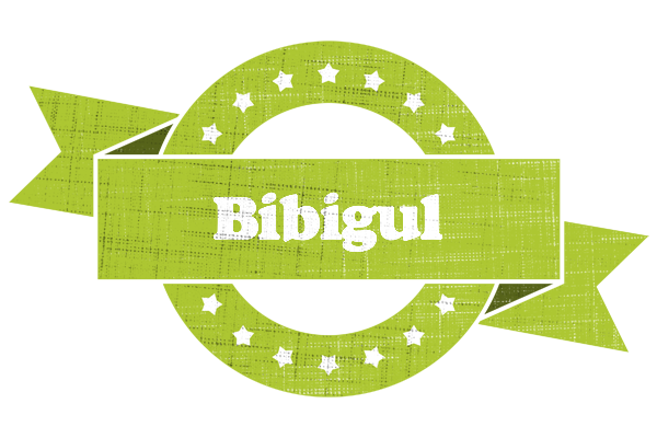 Bibigul change logo