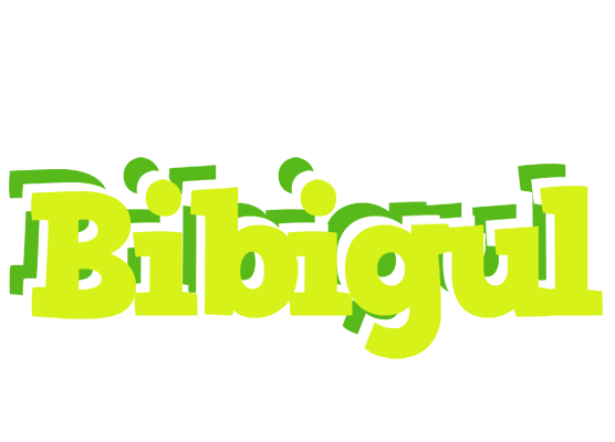Bibigul citrus logo