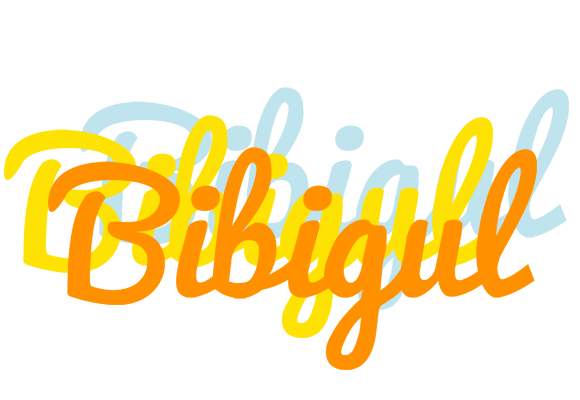 Bibigul energy logo