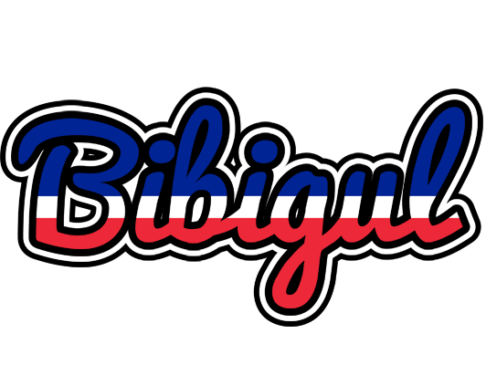 Bibigul france logo