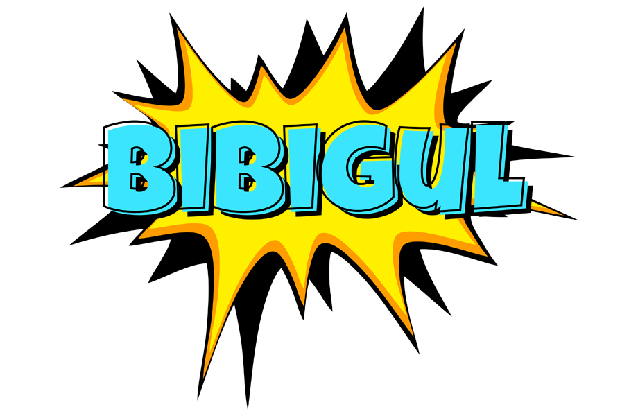Bibigul indycar logo
