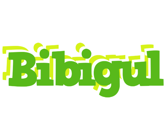 Bibigul picnic logo