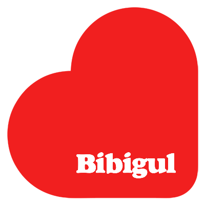 Bibigul romance logo
