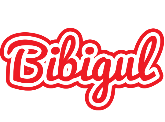 Bibigul sunshine logo