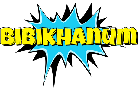 Bibikhanum amazing logo