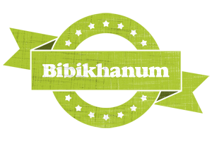 Bibikhanum change logo