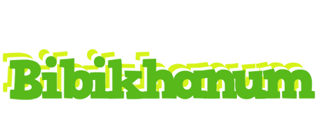 Bibikhanum picnic logo