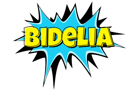 Bidelia amazing logo