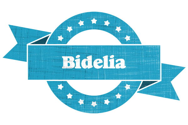 Bidelia balance logo