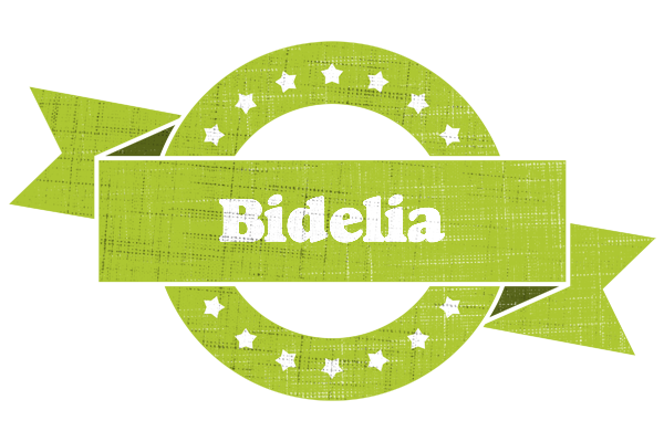Bidelia change logo