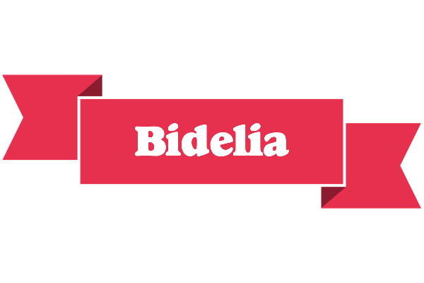 Bidelia sale logo