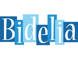 Bidelia winter logo