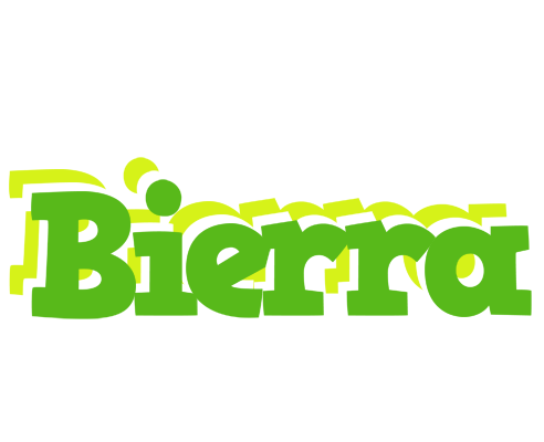 Bierra picnic logo
