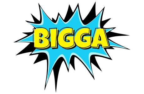 Bigga amazing logo