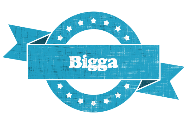 Bigga balance logo