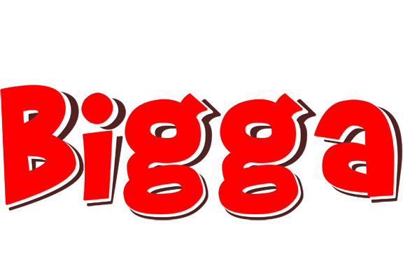 Bigga basket logo