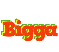 Bigga bbq logo