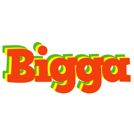 Bigga bbq logo