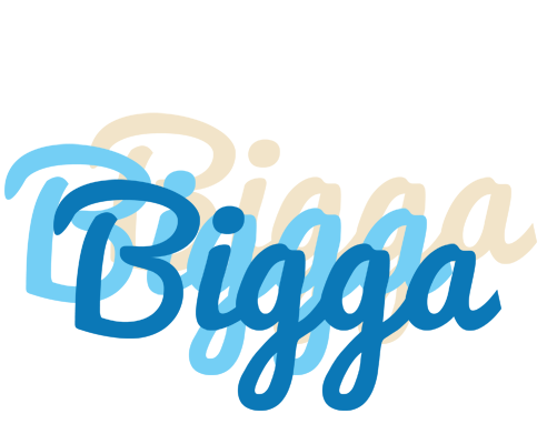 Bigga breeze logo
