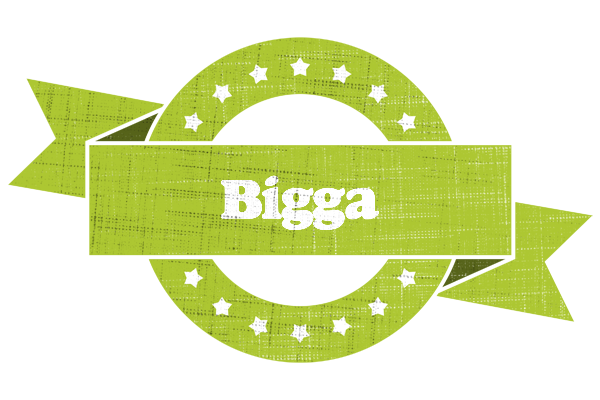 Bigga change logo