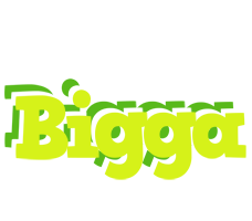 Bigga citrus logo