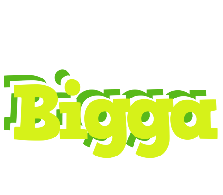 Bigga citrus logo