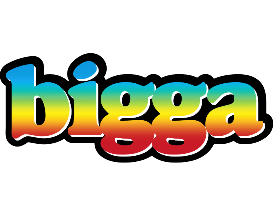 Bigga color logo