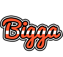 Bigga denmark logo