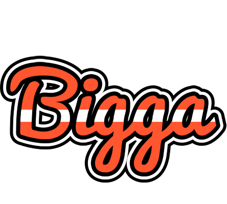 Bigga denmark logo