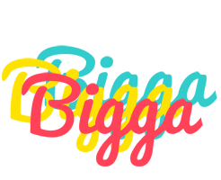 Bigga disco logo