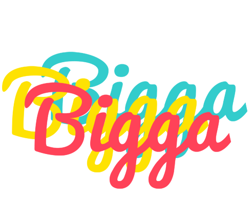 Bigga disco logo