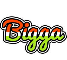 Bigga exotic logo