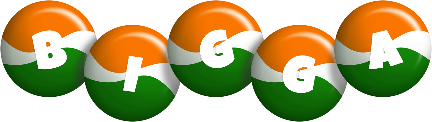 Bigga india logo